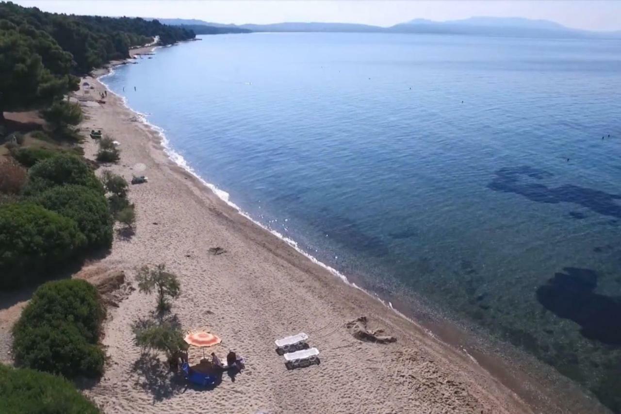 Metamorphosis - Halkidiki Apartment On The Beach Metamorfosi  Eksteriør billede